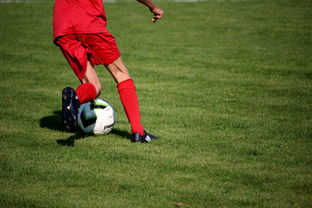 九游会-鹈鹕青训体系被评为联盟样板项目，鹈鹕原来是哪个队
